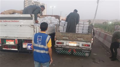 مؤسسة حياة كريمة تبدأ توزيع 60 ألف صندوق مواد غذائية احتفالًا بعيد الأضحى | صور 