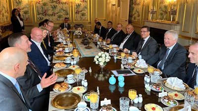 وزير الخارجية يؤكد ضرورة تعزيز الاستثمارات البريطانية في مصر