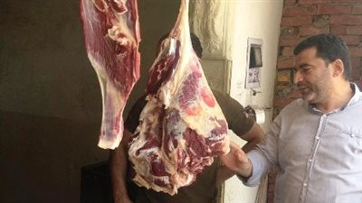 تموين الشرقية يضبط 10 أطنان سماد زراعي ولحوم مجهولة المصدر 