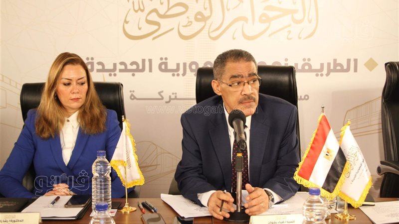ضياء رشوان المنسق