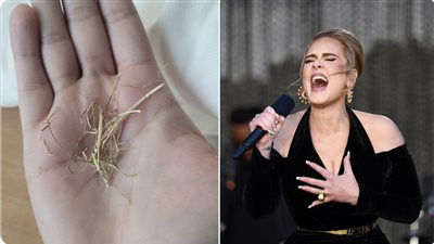 معجبة تحتفظ بعشب من حفلة أديل في هايد بارك