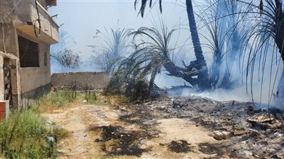 السيطرة على حريق تسبب في نفوق 43 رأس ماشية بإسنا جنوب الأقصر