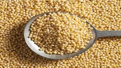 بعد البطاطا.. بحوث الصحراء تنتج رغيفا بلديا بإضافة دقيق 