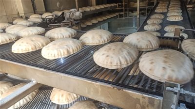 إحالة 56 محضرا بمخالفات المخابز والأسواق للنيابة في الدقهلية