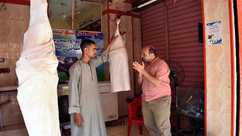 جانب من الاستعدادات