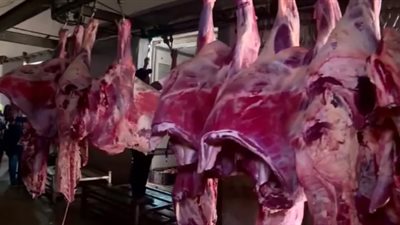 أسعار اللحوم اليوم الإثنين 11-7-2022 في مصر