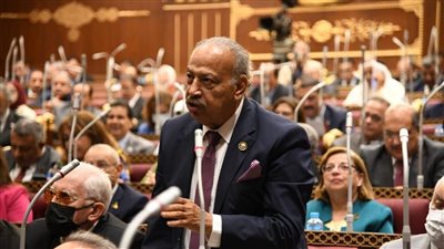 برلمانى: منصة مصر الرقمية تضع مصر على مصاف الدول العالمية