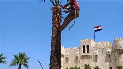 حدائق ومزارات الإسكندرية تستعد لاستقبال المواطنين في عيد الأضحى | صور 