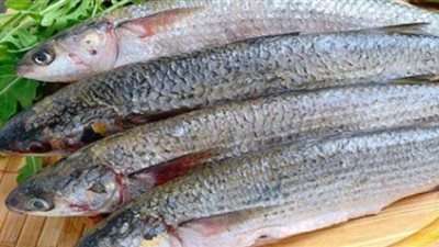 طريقة إعداد الفسيخ المطبوخ من الشيف عظيمة حمدي