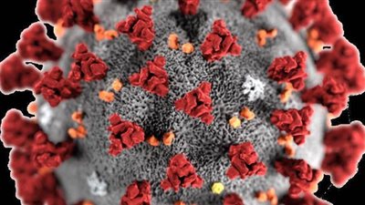 سويسرا: طرح لقاح ضد كورونا في موعد أقرب من المتوقع