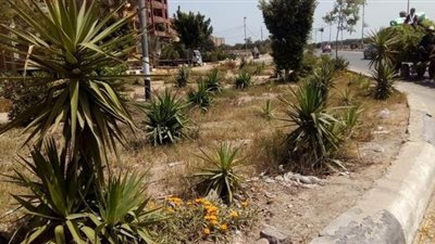 38 صورة ترصد شم النسيم بدون احتفالات بسبب كورونا في الشرقية