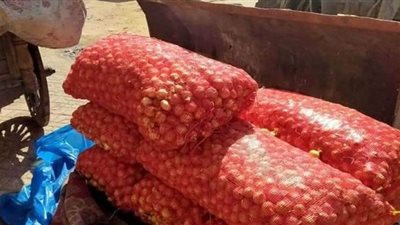 إزالة إشغالات سوق الميدان في الإسكندرية