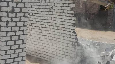 حملة مكبرة لإزالة التعديات على الأراضي الزراعية بالإسكندرية