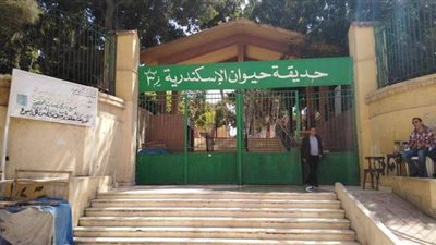 لأول مرة.. حديقة حيوان الإسكندرية بلا زائرين في شم النسيم | صور