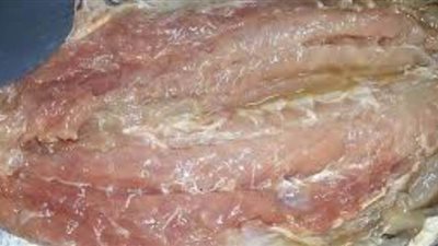 احذر.. الأسماك المملحة 