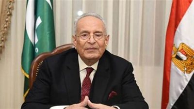 بهاء أبو شقة: لم أفوض أحدا للتحدث باسم الوفد نيابة عني