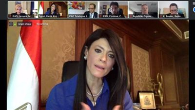 رانيا المشاط: نتعاون مع المؤسسات الدولية لتخفيف الآثار السلبية لفيروس كورونا | فيديو