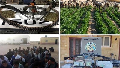 القوات المسلحة: ضبط مواد مخدرة وتدمير 10 أنفاق في شمال سيناء