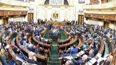 قاعة البرلمان تضج بالتصفيق تحية للطواقم الطبية على دورها في مواجهة كورونا