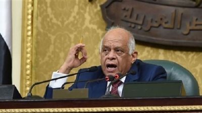 علي عبدالعال: مصر قادرة على تحويل الأزمة إلى فرصة