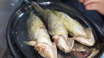 بدران: قلى الفسيخ فى الزيت يبطل مفعول السموم الموجودة به