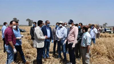 محافظ الفيوم يتابع أعمال حصاد 