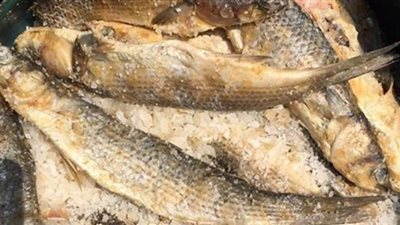 مصادرة 1.250 طن أسماك مملحة غير صالحة للاستهلاك الآدمى داخل محل بعابدين