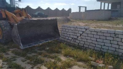 حملات موسعة لإزالة التعديات على الأراضى الزراعية في الإسكندرية