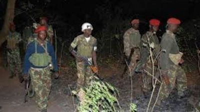 متمردون يقتلون 52 قروياً في موزامبيق