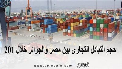 حجم التبادل التجاري بين مصر والجزائر خلال 2019 | إنفوجراف