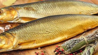 ضبط 4.5 طن رنجة وسردين غير صالحة بالدقهلية