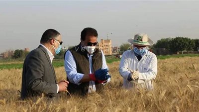 وزير التعليم العالي: الجامعات المصرية تساهم في تحقيق الأمن المصري