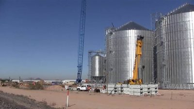 وكيل زراعة الدقهلية: فتح 9 شونات لاستقبال محصول القمح