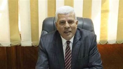 نقيب الزراعيين: أول تجربة لزراعة القمح في سيناء كانت عام 1985