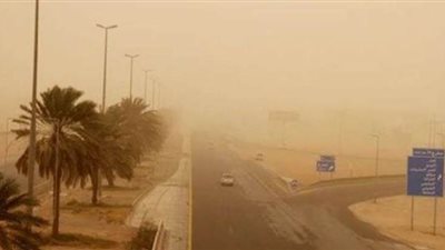 شاهين: منخفض جوي قادم من ليبيا يسبب عاصفة في مصر | فيديو