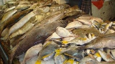 مصادرة 29 طن سلع غذائية احتكرها تجار و4 أطنان أسماك مملحة فاسدة| فيديو