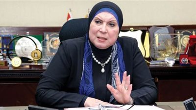 وزيرة الصناعة: التركيز على الصناعات الهندسية والمنسوجات الفترة المقبلة 