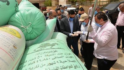 توريد ٢٥ ألف طن قمح إلى صوامع الدقهلية