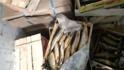 مصادرة أسماك وكبدة منتهية الصلاحية وتحرير 24 محضرا بالشرقية\صور