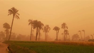 انعقاد غرفة الأزمات والكوارث في أسيوط لمواجهة تداعيات العاصفة الترابية | صور