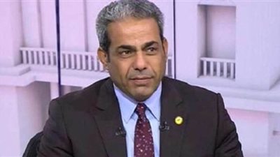 برلماني: التنمية في سيناء أمن قومي لمصر| فيديو