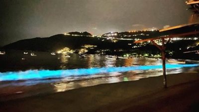 ظاهرة المياه الزرقاء المتلألئة تعود إلى شاطئ مكسيكي لأول مرة منذ 60 عاما | فيديو وصور