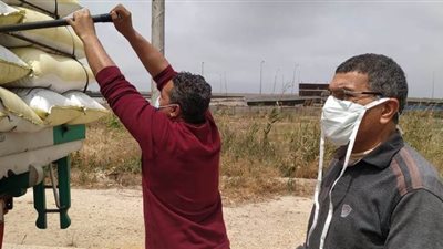 صوامع القمح في الإسكندرية تستقبل ٨ آلاف طن من المزارعين