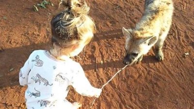 طفلة تبلغ من العمر عامين تصاحب الضباع | صور