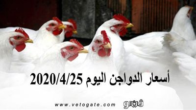 أسعار الدواجن اليوم 2020/4/25