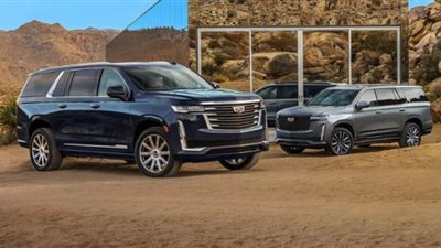 أسباب دفعت إلى تراجع معدل التأمين على السيارات