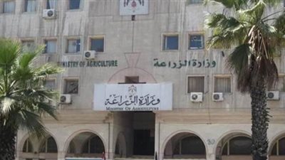 الزراعة ترفض طلبا من التموين بفتح باب استيراد كميات من مجزآت الدواجن