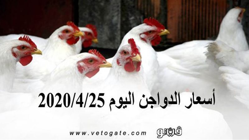 فيتو