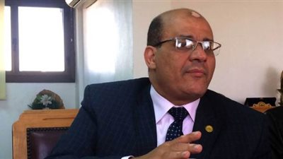 برلماني: الاستثمار في سيناء الضمان الوحيد للأمن القومي