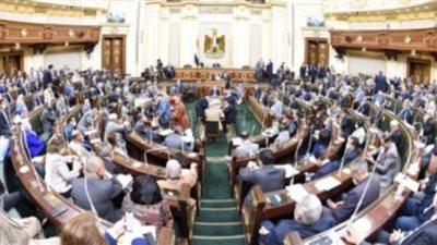 برلمانية تطالب بتطبيق عقوبات 